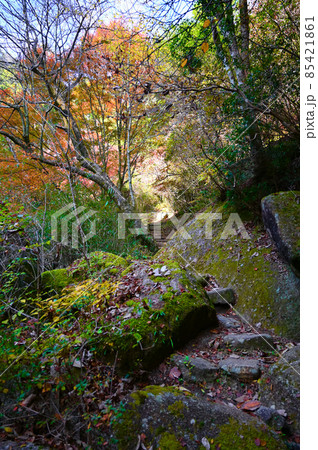 鬼岩公園　花ノ木休憩所　付近の風景　瑞浪市 85421861