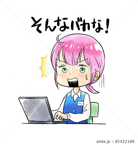 ノーパソOL/そんなバカな 85422186