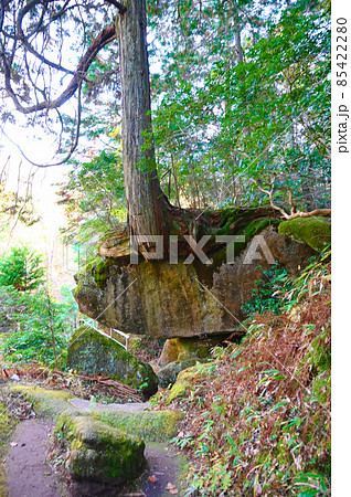 鬼岩公園　岩場の絶景　瑞浪市 85422280