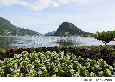 スイス　ルガーノ　ルガーノ湖とサン・サルヴァトーレ山 85422900