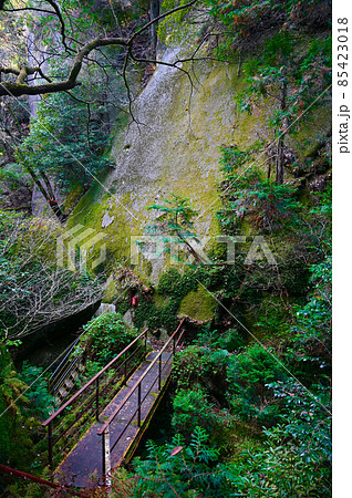 鬼岩公園 巨岩・一枚岩 瑞浪市 鬼岩公園 巨岩・一枚岩 瑞浪市 85423018