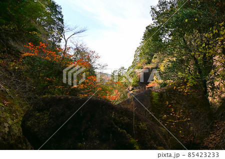 鬼岩公園 紅葉 瑞浪市 鬼岩公園 紅葉 瑞浪市 85423233