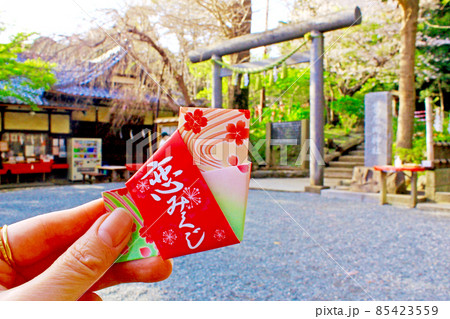 【神奈川】春の鎌倉 葛原岡神社の石鳥居と恋みくじを持つ女性の手 【神奈川】春の鎌倉 葛原岡神社の石鳥居と恋みくじを持つ女性の手 85423559