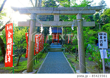【神奈川】春の鎌倉　葛原岡神社境内の合鎚稲荷社 85423561
