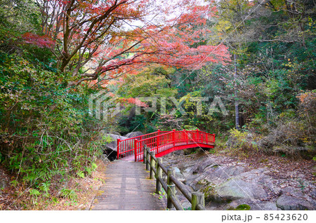 鬼岩公園 見返り橋 紅葉 瑞浪市 鬼岩公園 見返り橋 紅葉 瑞浪市 85423620