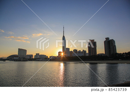 ももちの初日の出 85423739