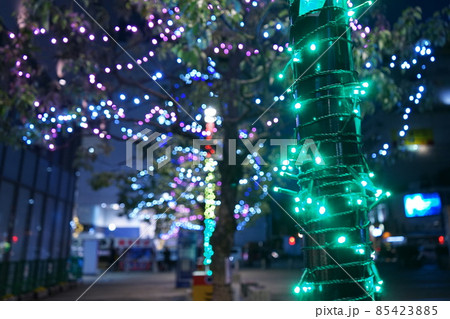 宇都宮市二荒山神社イルミネーション 85423885