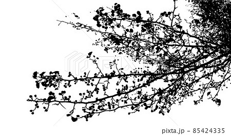 The branches of the tree monochrome background. Vector illustration The branches of the tree monochrome background. Vector illustration 85424335