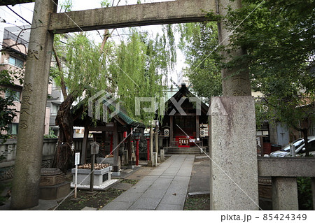 東京 三島神社 東京 三島神社 85424349