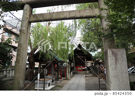 東京　三島神社 85424350