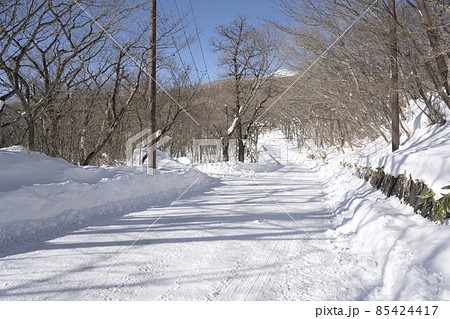 雪が降って圧雪状態の道路の風景 85424417