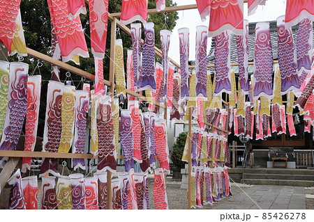 こいのぼり 鯉のぼり 神社の境内のたくさんの鯉のぼり 泳ぐ鯉のぼり こいのぼり 鯉のぼり 神社の境内のたくさんの鯉のぼり 泳ぐ鯉のぼり 85426278