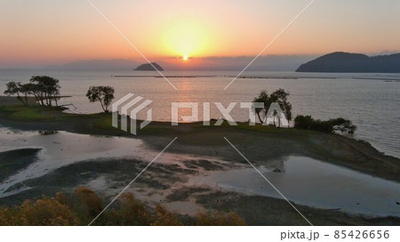 令和3年12月水位が低下した近江湖北浮島 85426656