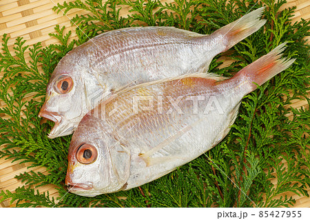 レンコ鯛の干物 85427955