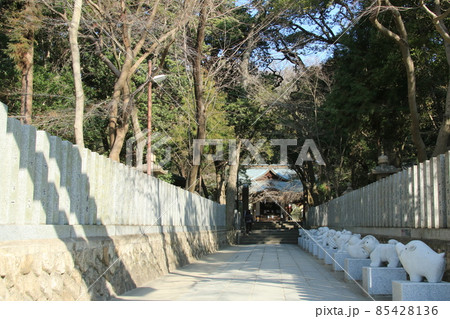 日本の神社　保久良神社(神戸市東灘区本山町)の境内 85428136