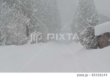 【兵庫県 宍粟市】降雪の国道 【兵庫県 宍粟市】降雪の国道 85428144