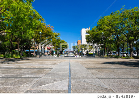 神奈川県横浜市 開港広場公園 85428197