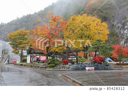 福島県 秋 田村市 あぶくま洞 紅葉と切羽(きりは) 福島県 秋 田村市 あぶくま洞 紅葉と切羽(きりは) 85428312