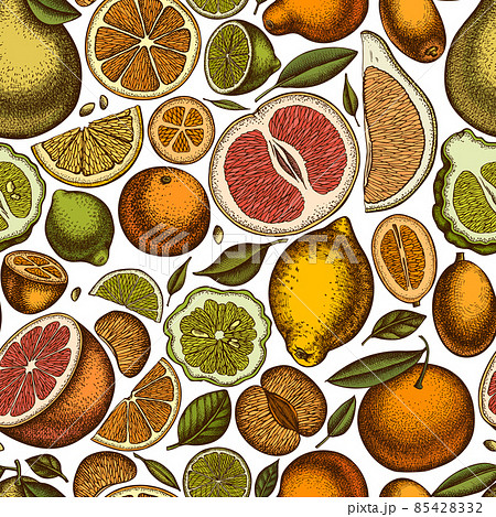 Citrus seamless pattern background design. Engraved style. Hand drawn kumquat, lemon, tangelo 85428332