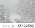【兵庫県 宍粟市】大雪の川 85428502