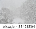 【兵庫県 宍粟市】大雪の川 85428504