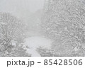 【兵庫県 宍粟市】大雪の川 85428506
