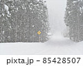 【兵庫県 宍粟市】降雪の国道 85428507
