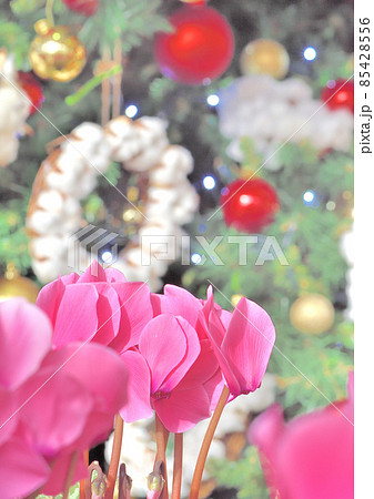クリスマス クリスマス 85428556
