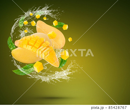 Water Splash on fresh mango with leaves Isolated on green Background Water Splash on fresh mango with leaves Isolated on green Background 85428767