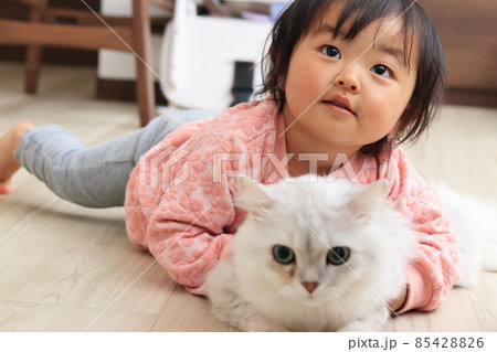 ペットの猫と子供 ペットの猫と子供 85428826