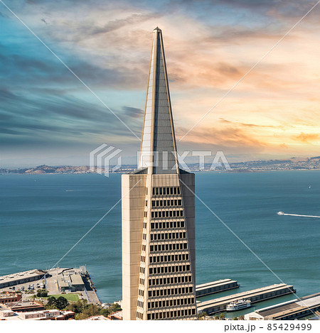 San Francisco cityscape with Transamerica Pyramid, California, USA 85429499