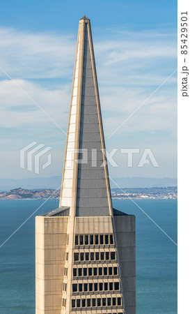 San Francisco cityscape with Transamerica Pyramid, California, USA 85429501