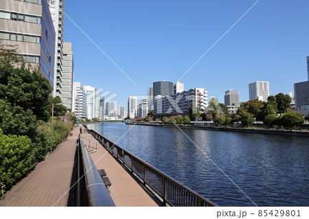 東京都港区港南の高浜緑地の風景 東京都港区港南の高浜緑地の風景 85429801