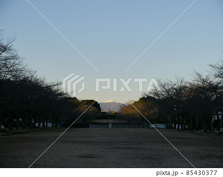 冬の宝野公園から見る富士山（関東の富士見百景） 85430377