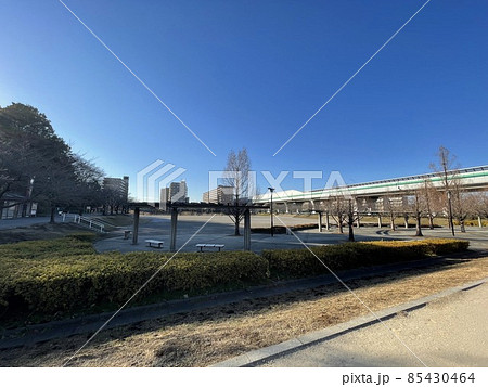 春は桜が綺麗な冬の滝沼川第二遊水地 春は桜が綺麗な冬の滝沼川第二遊水地 85430464