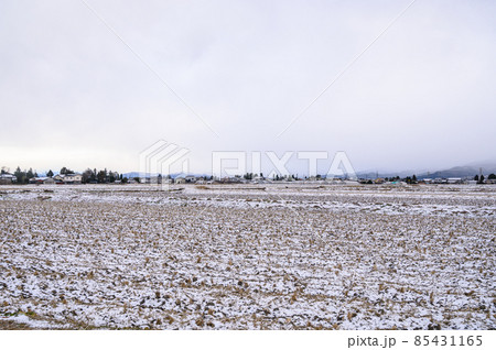 雪の田園風景 松本市 雪の田園風景 松本市 85431165
