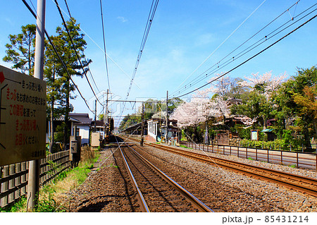 神奈川 春の鎌倉 Jr北鎌倉駅と満開の桜の写真素材