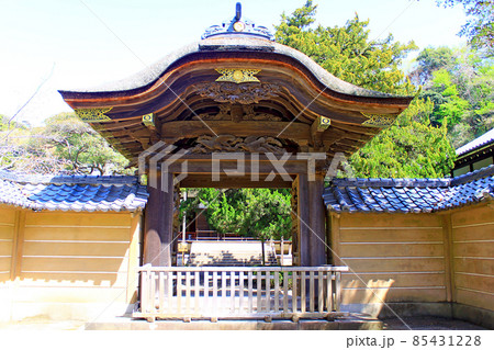 【神奈川】春の鎌倉 円覚寺の方丈前唐門 【神奈川】春の鎌倉 円覚寺の方丈前唐門 85431228