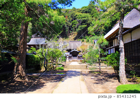【神奈川】春の鎌倉 円覚寺舎利殿 【神奈川】春の鎌倉 円覚寺舎利殿 85431245