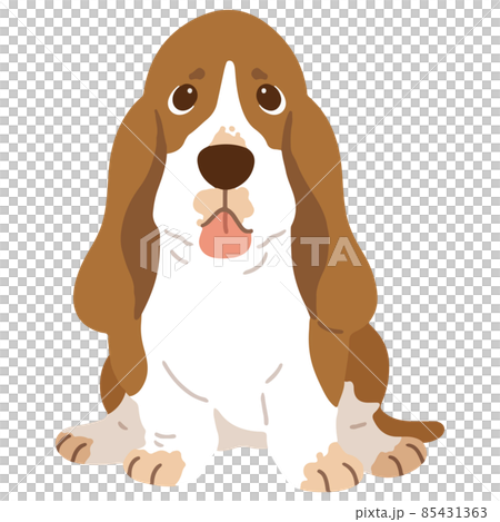 一隻簡單可愛的巴吉度獵犬的插圖，它面朝前方，沒有主線 85431363