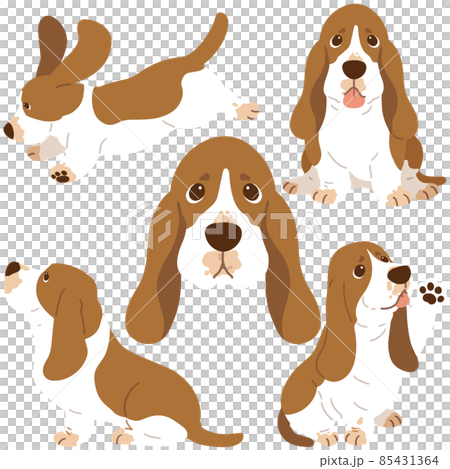 Simple and cute Basset Hound illustration set without main line 85431364