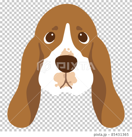 Simple and cute Basset Hound face illustration without main line 85431365