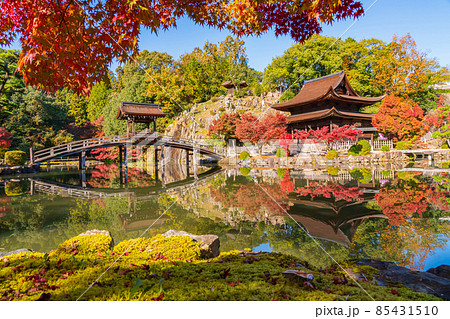 秋の虎渓山永保寺〈岐阜県多治見市〉 85431510