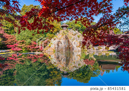 秋の虎渓山永保寺〈岐阜県多治見市〉 85431581