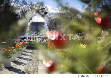 ふなばしアンデルセン公園の噴水 クリスマスの写真素材