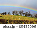 虹が出る丘陵地 85432096