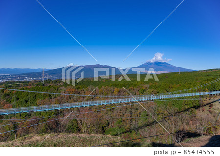 静岡県三島市 三島スカイウォーク 静岡県三島市 三島スカイウォーク 85434555