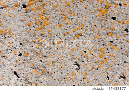 Concrete wall surface texture.Close-up shot. 85435177