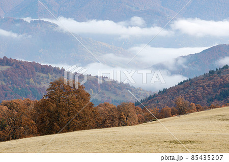 Autumn Landscape with fog in mountains Autumn Landscape with fog in mountains 85435207