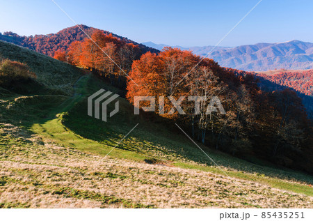 Autumn landscape in the morning 85435251